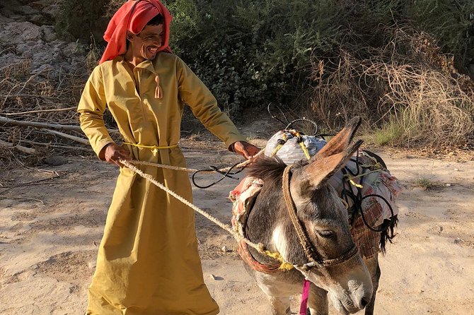 Muscat City & Wadi Shab Full-Day Adventure - Lunch, Timing, and the Private Vehicle