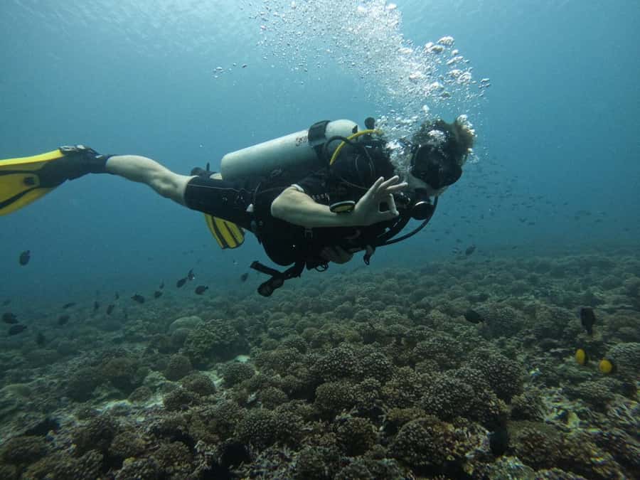 Muscat: Daymaniat Islands Scuba Diving for Beginners - Reaching the Daymaniat Islands from Muscat