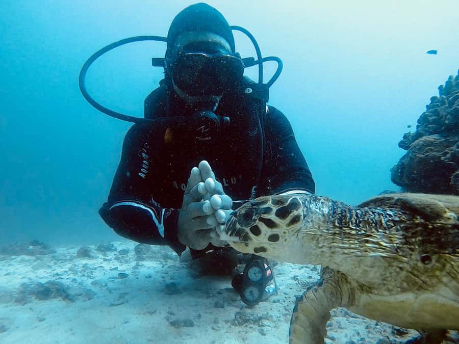 Muscat: Daymaniat Islands Scuba Diving for Beginners - What the first scuba session feels like