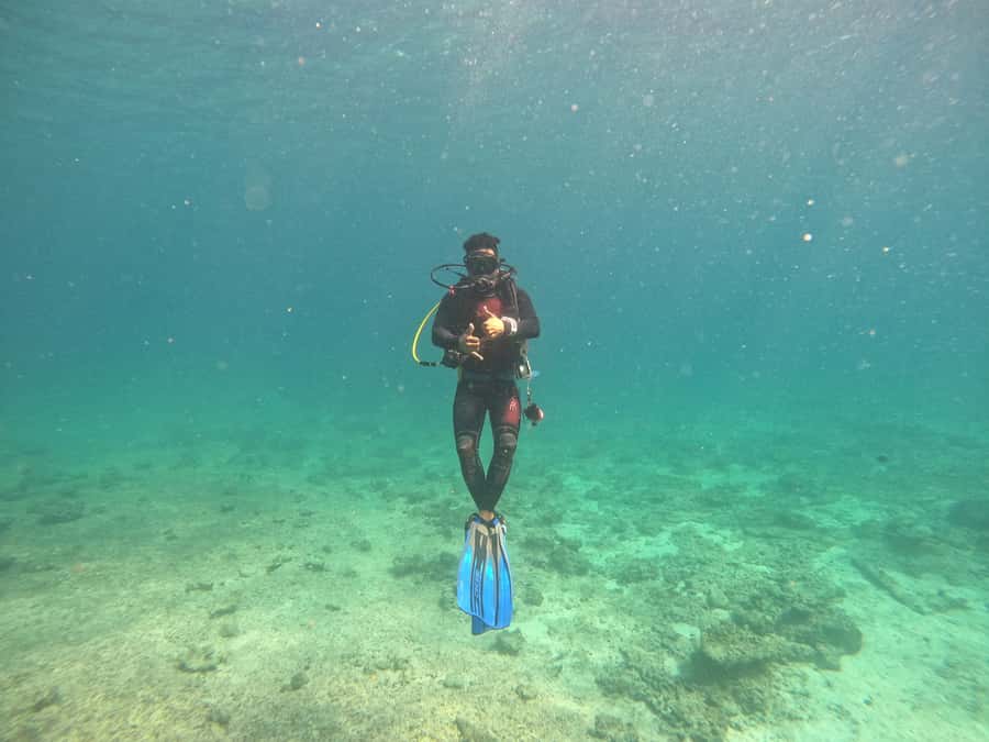 Muscat: Daymaniat Islands Scuba Diving for Beginners - Snorkeling adds a relaxed second look