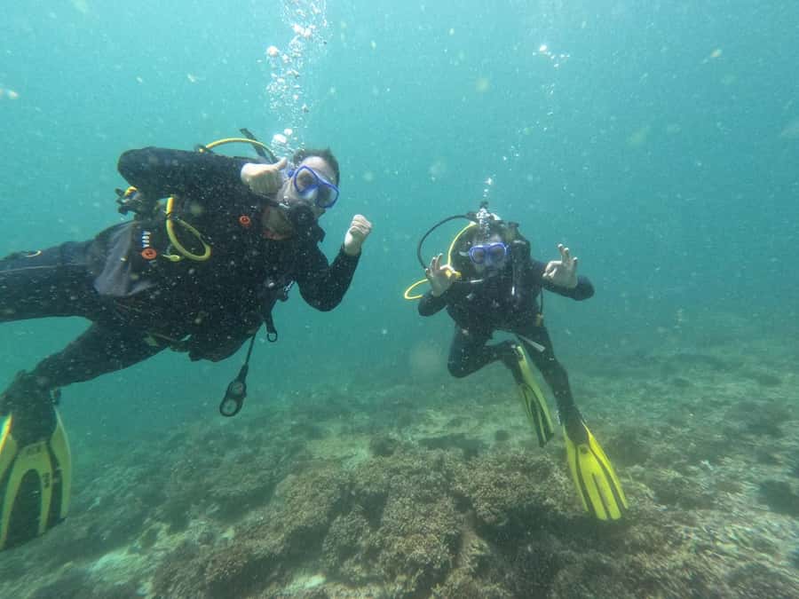 Muscat: Daymaniat Islands Scuba Diving for Beginners - Is $194 a fair price?