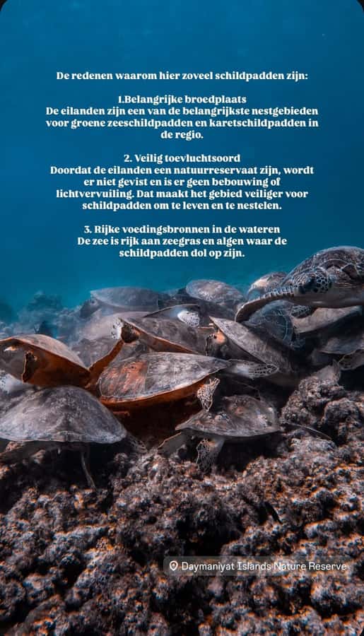 Muscat: Daymaniat Islands Snorkeling Tour with Refreshments - The First Snorkel Stop, Usually the Turtle Water