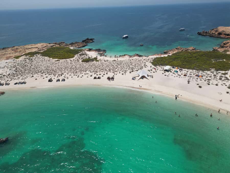 Muscat: Daymaniat Islands Snorkeling Trip with Brunch - Key points before you book