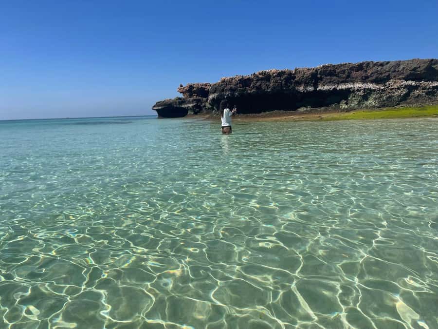 Muscat: Daymaniat Islands Snorkeling Trip with Brunch - Your first snorkeling stop, turtles and clear water