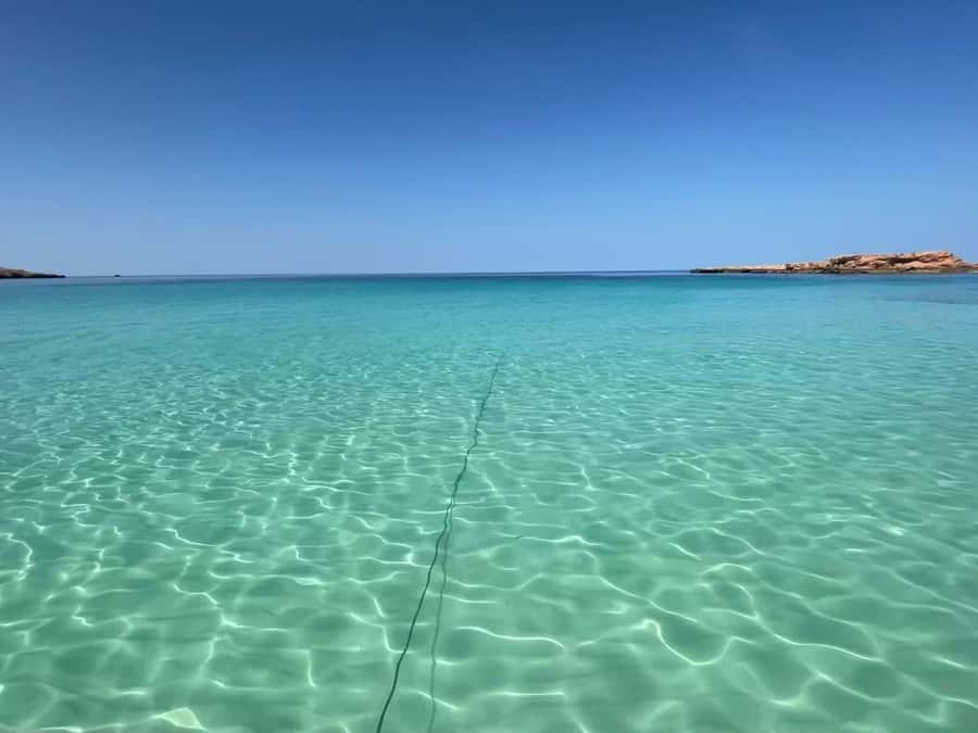 Muscat: Daymaniat Islands Snorkeling Trip with Brunch - Is $86 good value for Muscat?