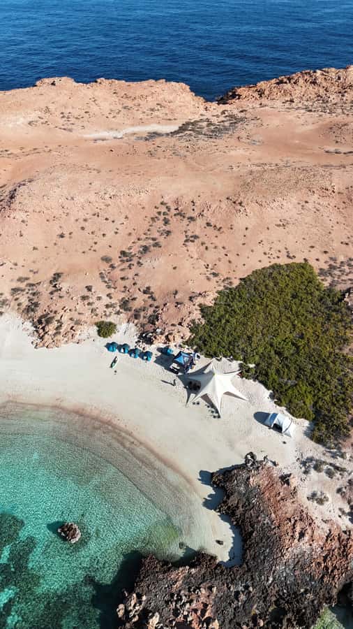Muscat: Daymaniat Islands Tour - Three stops, swimming time, and an island visit