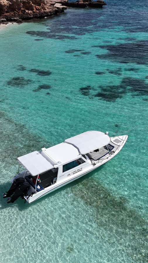 Muscat: Daymaniat Islands Tour - Food, drinks, and the little practical comforts