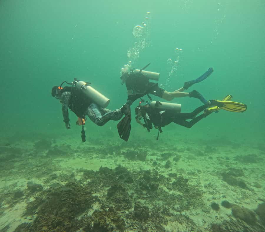 Muscat: Daymaniat Islands Try Scuba Diving - What the underwater sessions are like