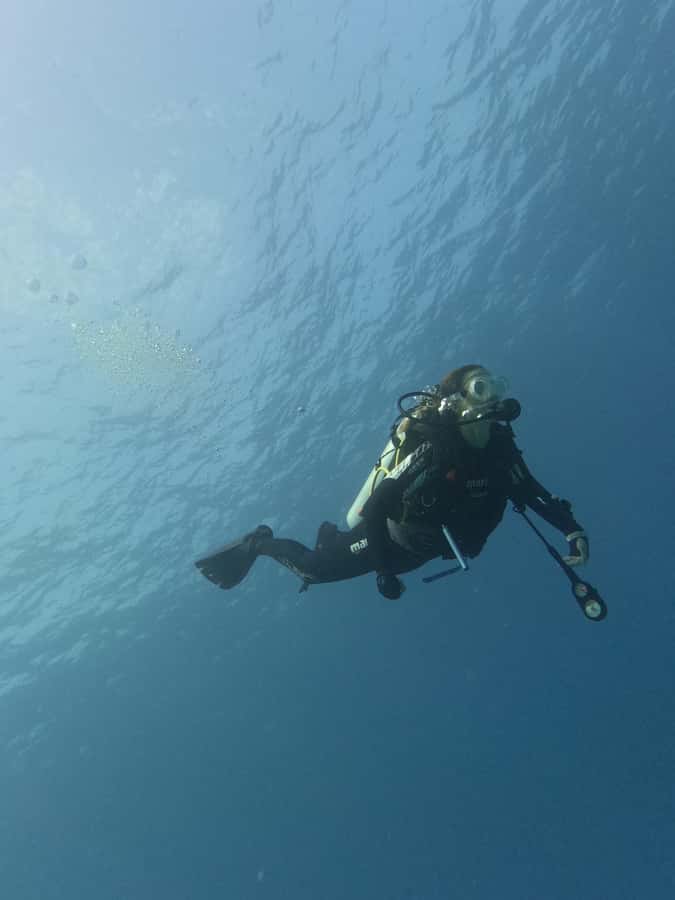 Muscat: Daymaniat Islands Try Scuba Diving - Sandwiches and drinks keep the half-day practical