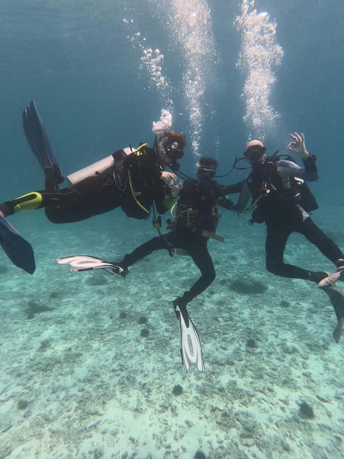 Muscat: Daymaniat Islands Try Scuba Diving - Timing, meeting point, and useful preparation
