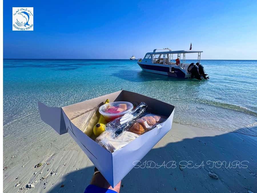 Muscat: Daymaniyat Island Snorkeling with Turtles Tour - Who will enjoy this day most