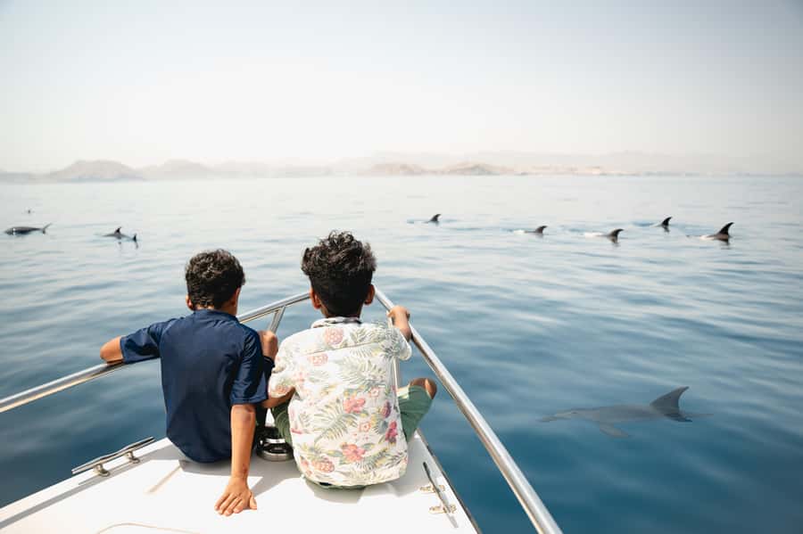 Muscat: Daymaniyat Islands Private Boat Tour with Snorkeling - Dolphins on the way to the islands