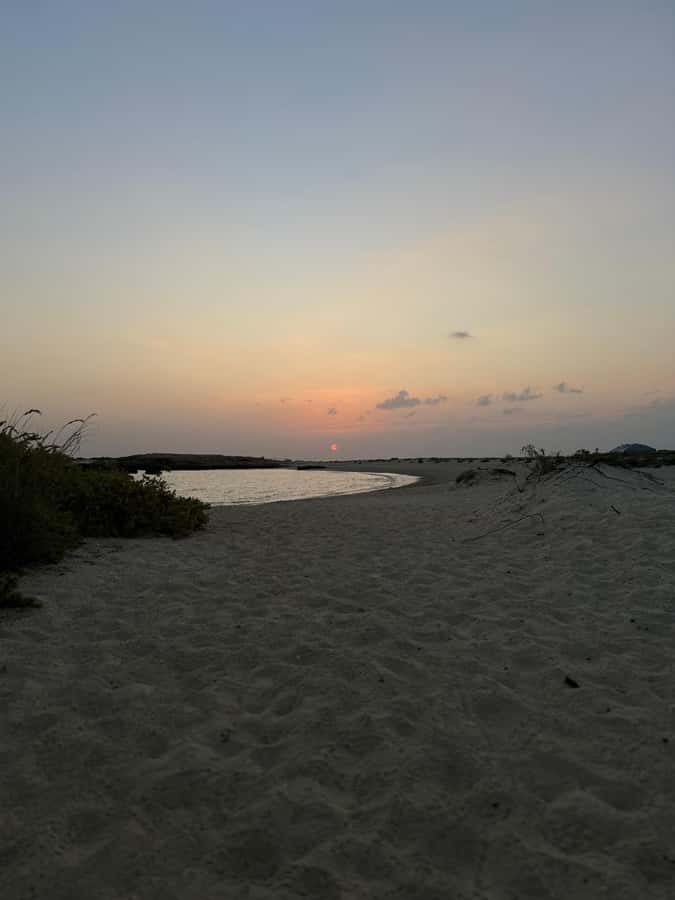 Muscat: Daymaniyat Islands Snorkeling Tour - Key points to know before you book