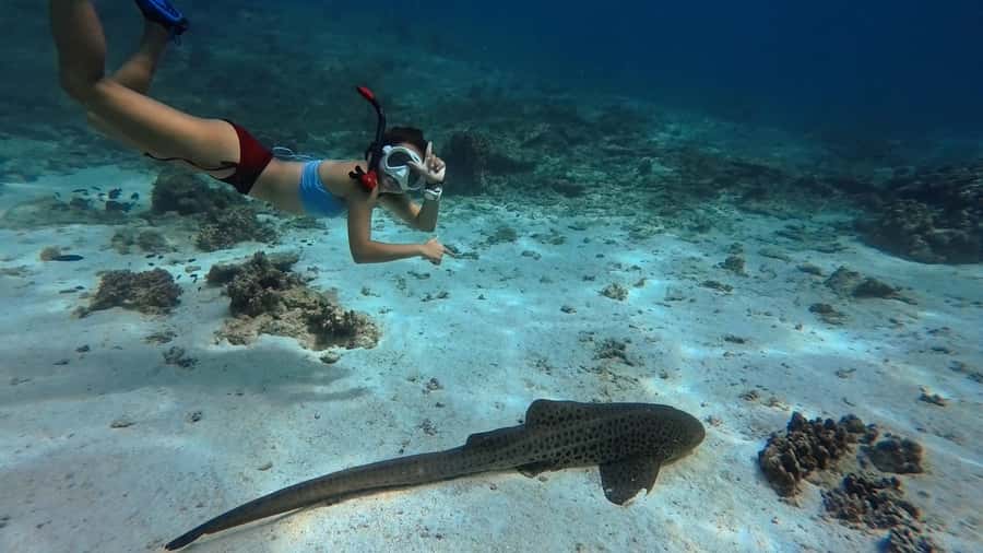 Muscat: Daymaniyat Islands Snorkeling Tour - The open motorboat ride and what it feels like