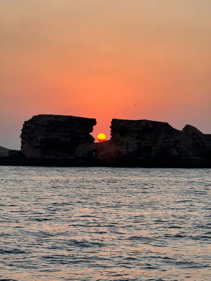 Muscat: Daymaniyat Islands Snorkeling Tour - Turtles, coral, and the limits of wildlife watching