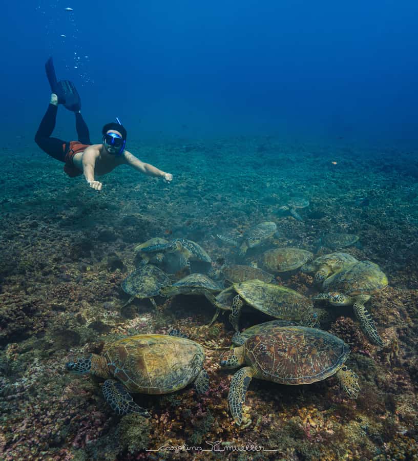 Muscat: Daymaniyat Islands Snorkeling Trip with BBQ Lunch - Key points to know before you go