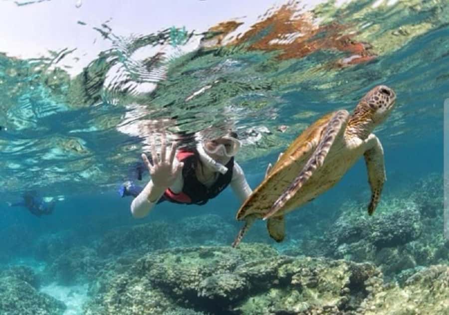 Muscat: Daymaniyat Islands Snorkeling Trip with BBQ Lunch - The boat ride out from Muscat