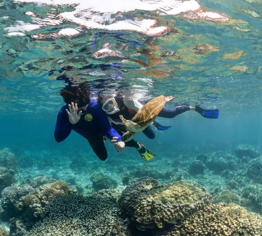 Muscat: Daymaniyat Islands Snorkeling Trip with BBQ Lunch - The break onboard and BBQ lunch