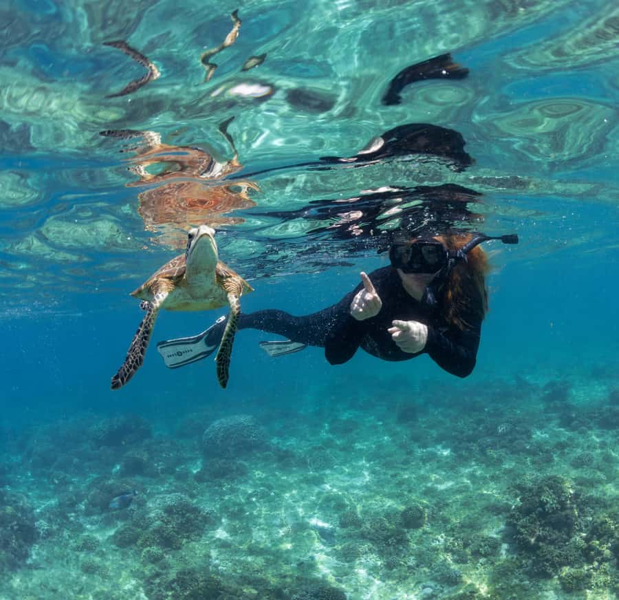 Muscat: Daymaniyat Islands Snorkeling Trip with BBQ Lunch - How the guides affect the experience
