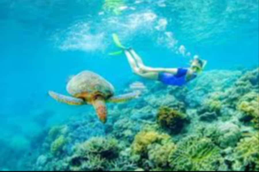 Muscat: Daymaniyat Islands Snorkeling Trip with Lunch - Snorkeling in the reserve’s clear water