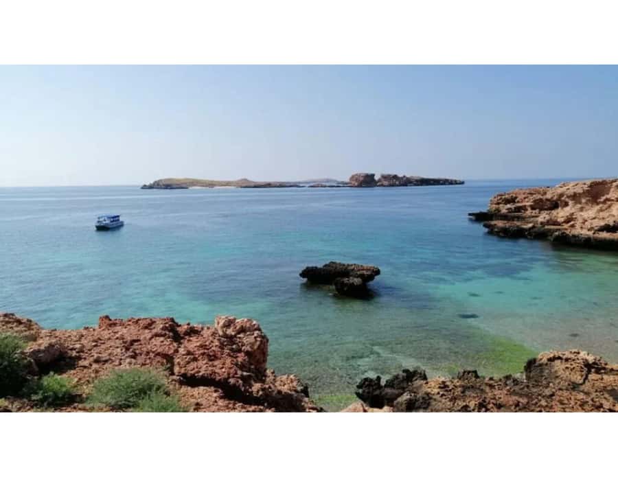 Muscat: Daymaniyat Islands Snorkeling Trip with Lunch - What makes the turtles and reef stops worthwhile