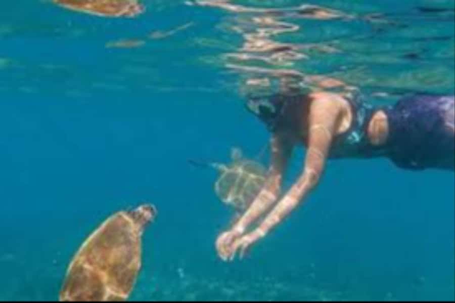 Muscat: Daymaniyat Islands Snorkeling Trip with Lunch - Lunch, snacks, and drinks on board