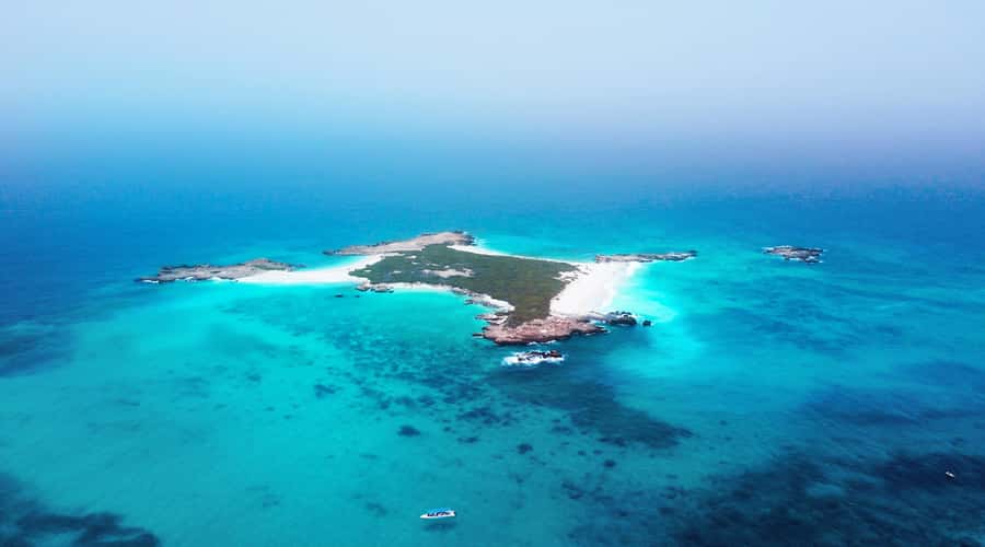 Muscat: Daymaniyat Islands Snorkeling Trip with QTours - Should you book the Daymaniyat Islands trip?