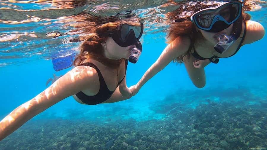 Muscat: Dolphin Watch & Snorkel Excursion - Dolphin watching along Oman’s coast