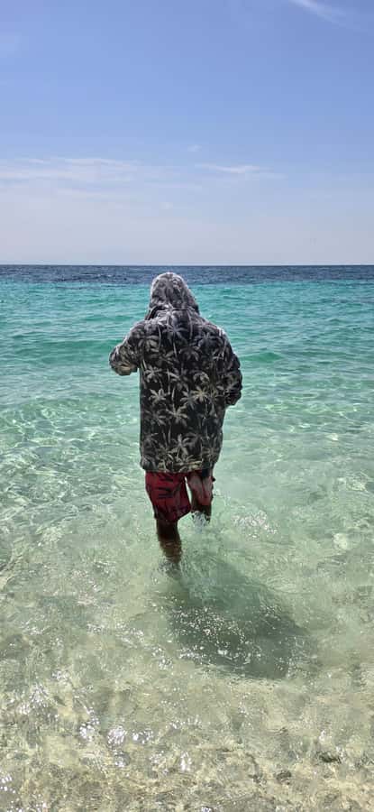 Muscat: Dolphin Watch & Snorkeling - Safety, Comfort, and the Wildlife Rules