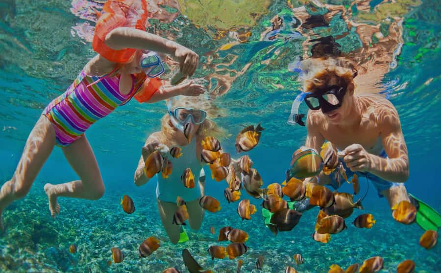 Muscat: Dolphin Watching and Snorkeling Tour - Two hours on the water, two very different experiences