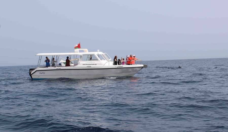 Muscat: Dolphin Watching and Snorkeling Tour By Speed Boat - At Least an Hour of Snorkeling