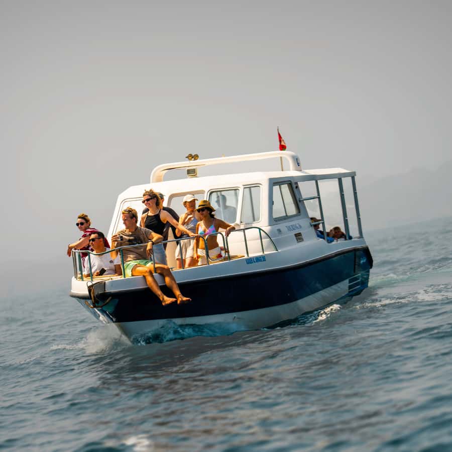 Muscat: Dolphin Watching and Snorkeling Trip - Setting out from Marina Bandar Al Rowdha