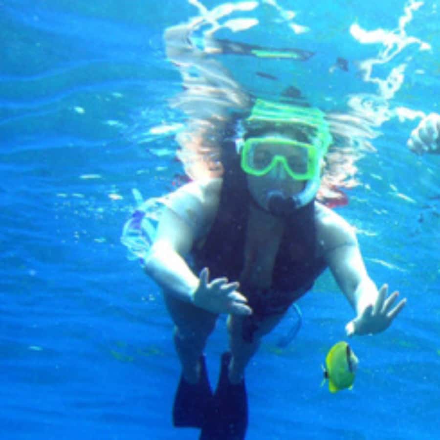 Muscat: Dolphin Watching and Snorkeling Trip - Who will enjoy this Muscat boat trip?