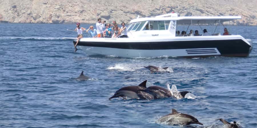 Muscat: Dolphin Watching Boat Tour - The ride offshore and the search for dolphins
