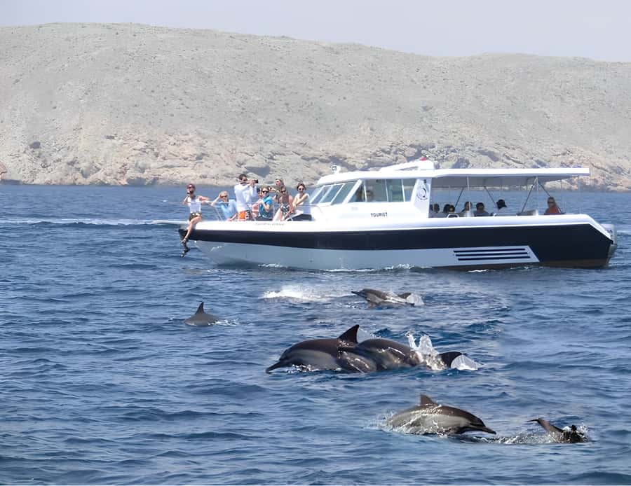 Muscat: Dolphin Watching Boat Trip with Snacks & Local Guide - Key points to know before booking