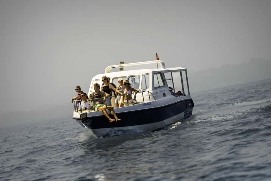 Muscat: Dolphin Watching Boat Trip with Snacks & Local Guide - Setting out from Marina Bandar al Rowdha