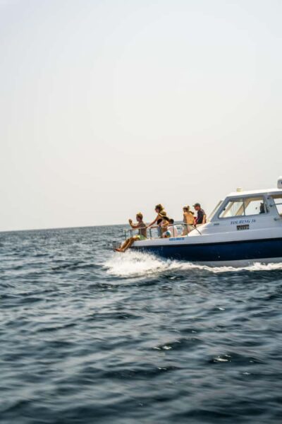 Dolphin Watching Boat Trip with Snacks & Local Guide