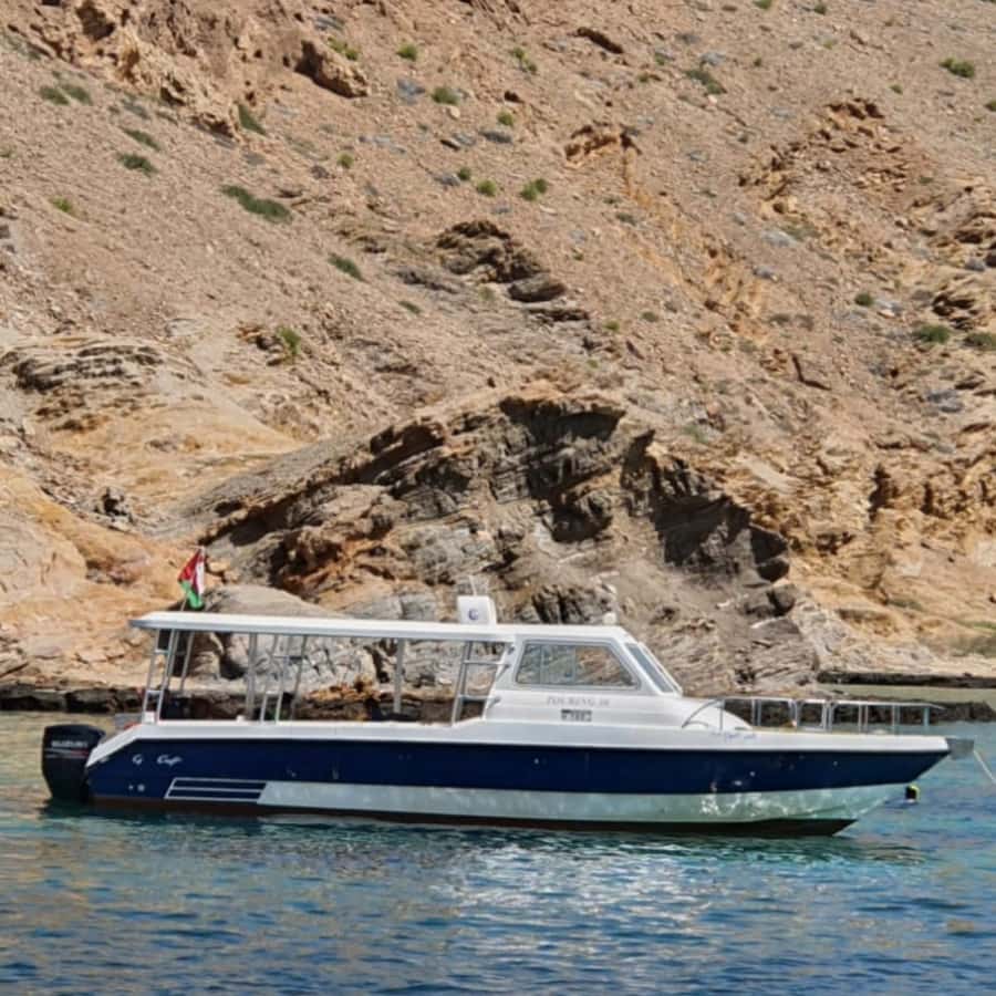 Muscat: Dolphin Watching Boat Trip with Snacks & Local Guide - Who will enjoy this boat trip most?