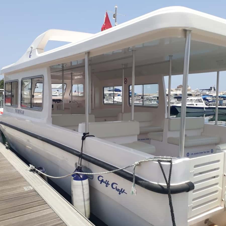 Muscat: Dolphin Watching Boat Trip with Snacks & Local Guide - Booking advice and useful timing tips