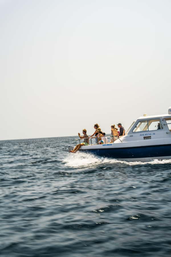 Muscat: Dolphin Watching Boat Trip with Snacks & Local Guide - The first 15 minutes on the water