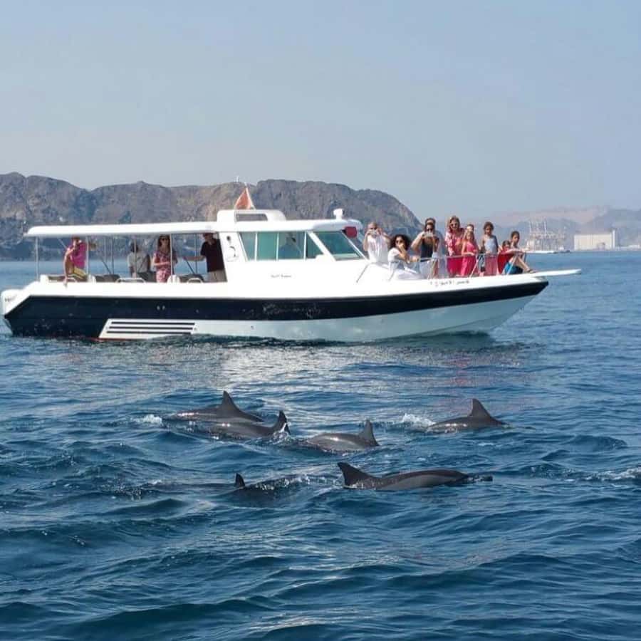 Muscat Dolphin Watching & Coastal Sightseeing Tour - Why this Muscat boat trip is worth considering