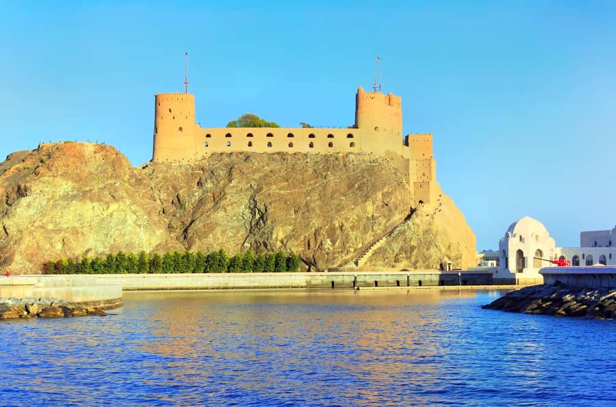 Muscat Dolphin Watching & Coastal Sightseeing Tour - Who should book this tour?