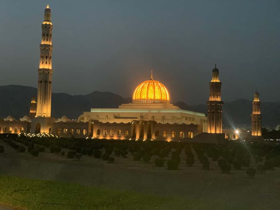 Muscat: Evening Group City Guided Tour with Free Dinner - Why an evening tour works well in Muscat