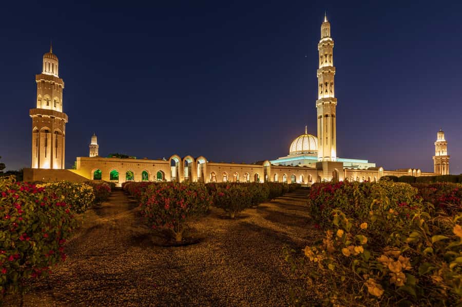 Muscat: Evening Guided City Highlights Tour by Van - Why Muscat works so well after dark