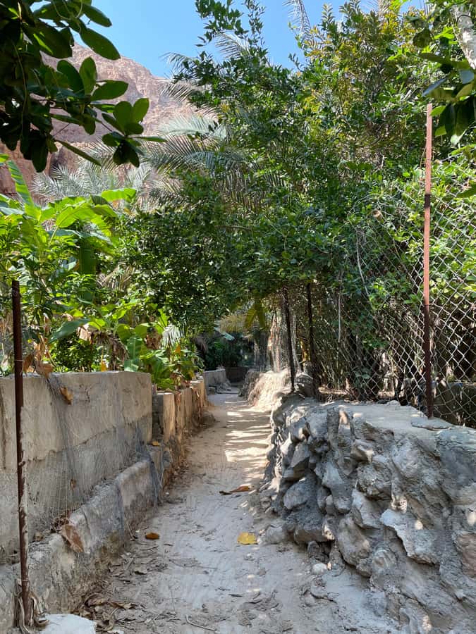 Muscat: Full-Day Wadi Shab & Bimmah Sinkhole Private Tour - Key points to know before you book