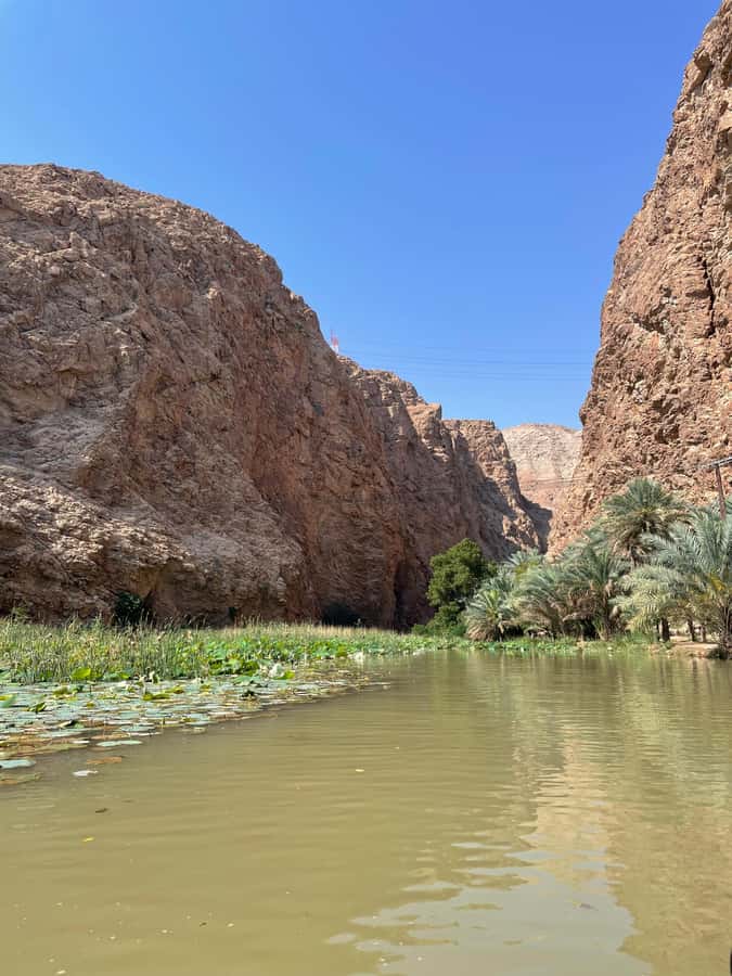 Muscat: Full-Day Wadi Shab & Bimmah Sinkhole Private Tour - Who should book this Oman day trip