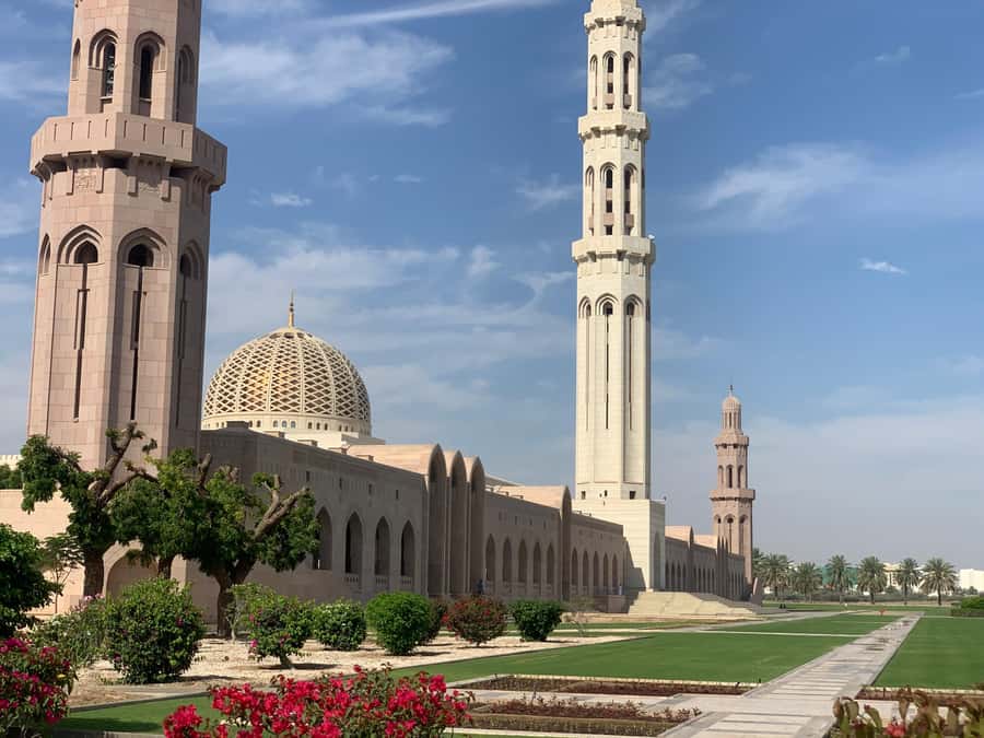 Muscat: Group City Tour with Pickup and Lunch or Dinner - A useful first day in Muscat