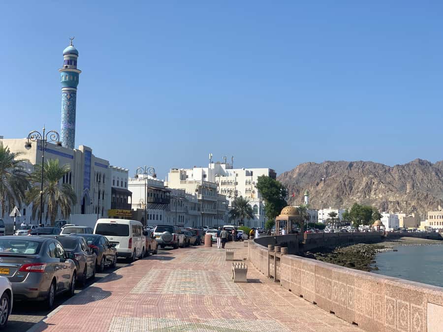 Muscat: Group City Tour with Pickup and Lunch or Dinner - Fish Market and the move from sights to supper
