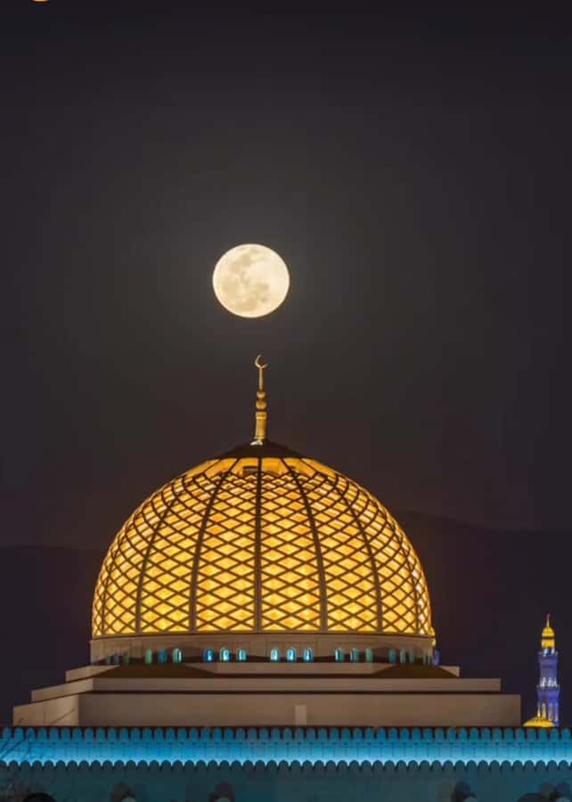 Muscat: Guided Landmarks Tour - The guide makes the biggest difference