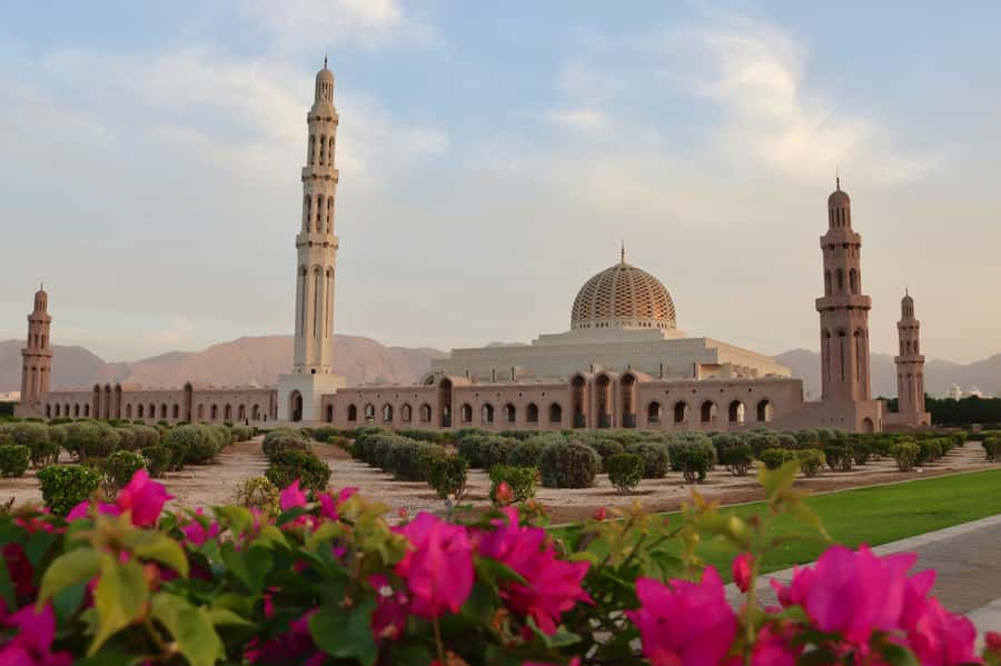 Muscat: Half Day-City Tour - The Royal Opera House and Muscat’s modern side
